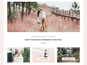 Website Design theme example 3