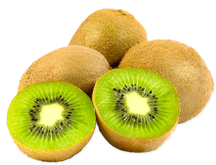Website Design kiwi fruits