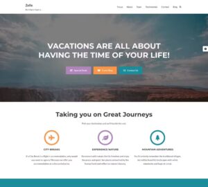 Website Design Zelle demo